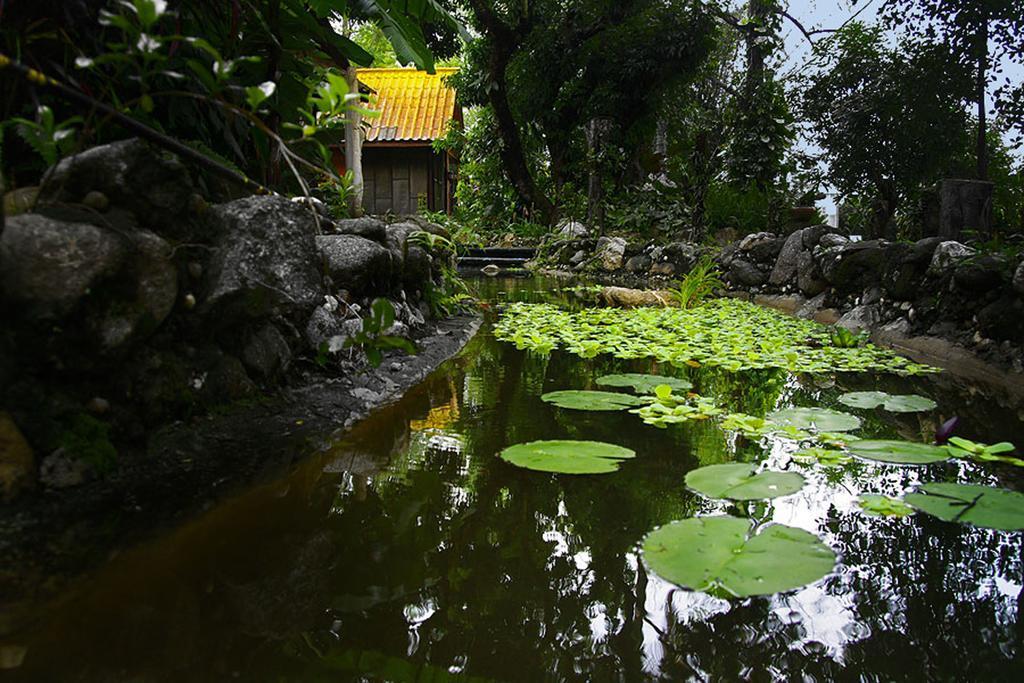 Areeya Phuree Resort Thaton Mae Ai Exterior foto